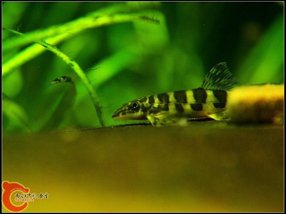 DSC_1362.jpg