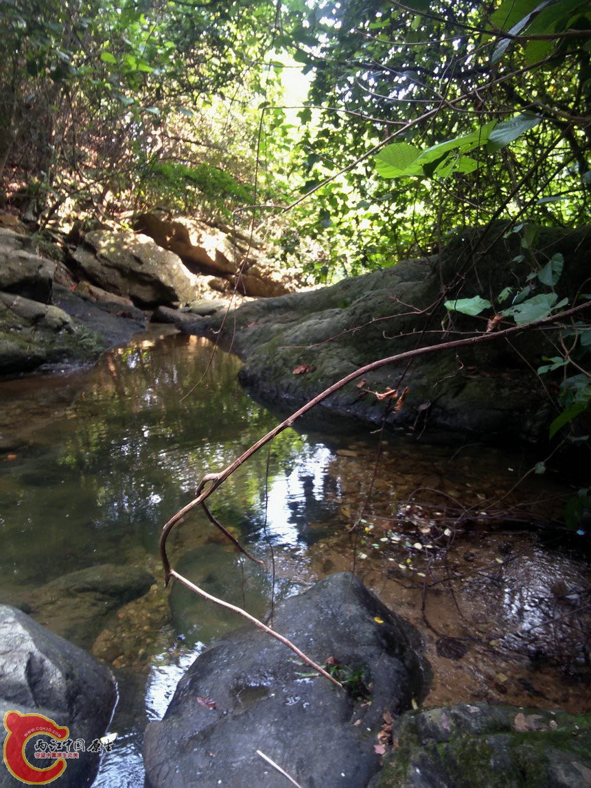 IMG20150926094031.jpg