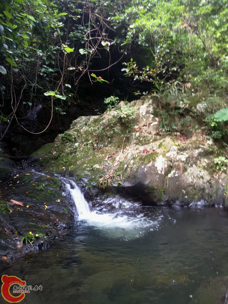IMG20150926094040.jpg
