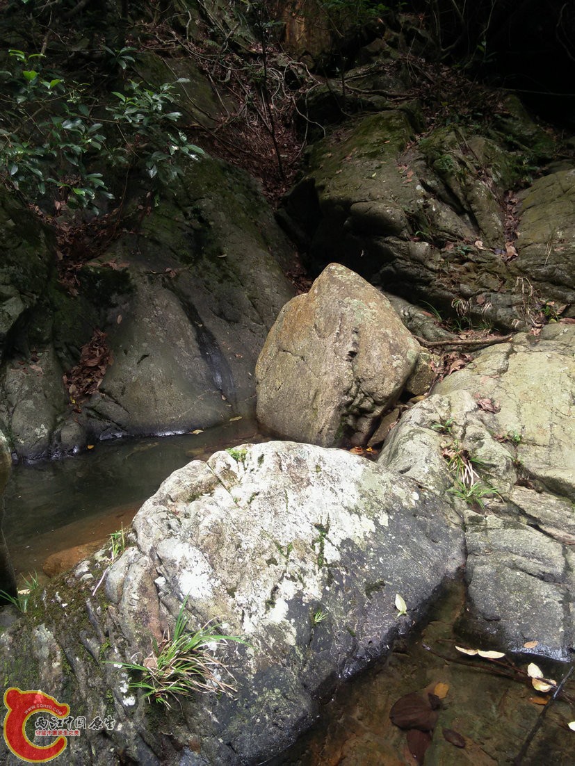 IMG20150926094043.jpg