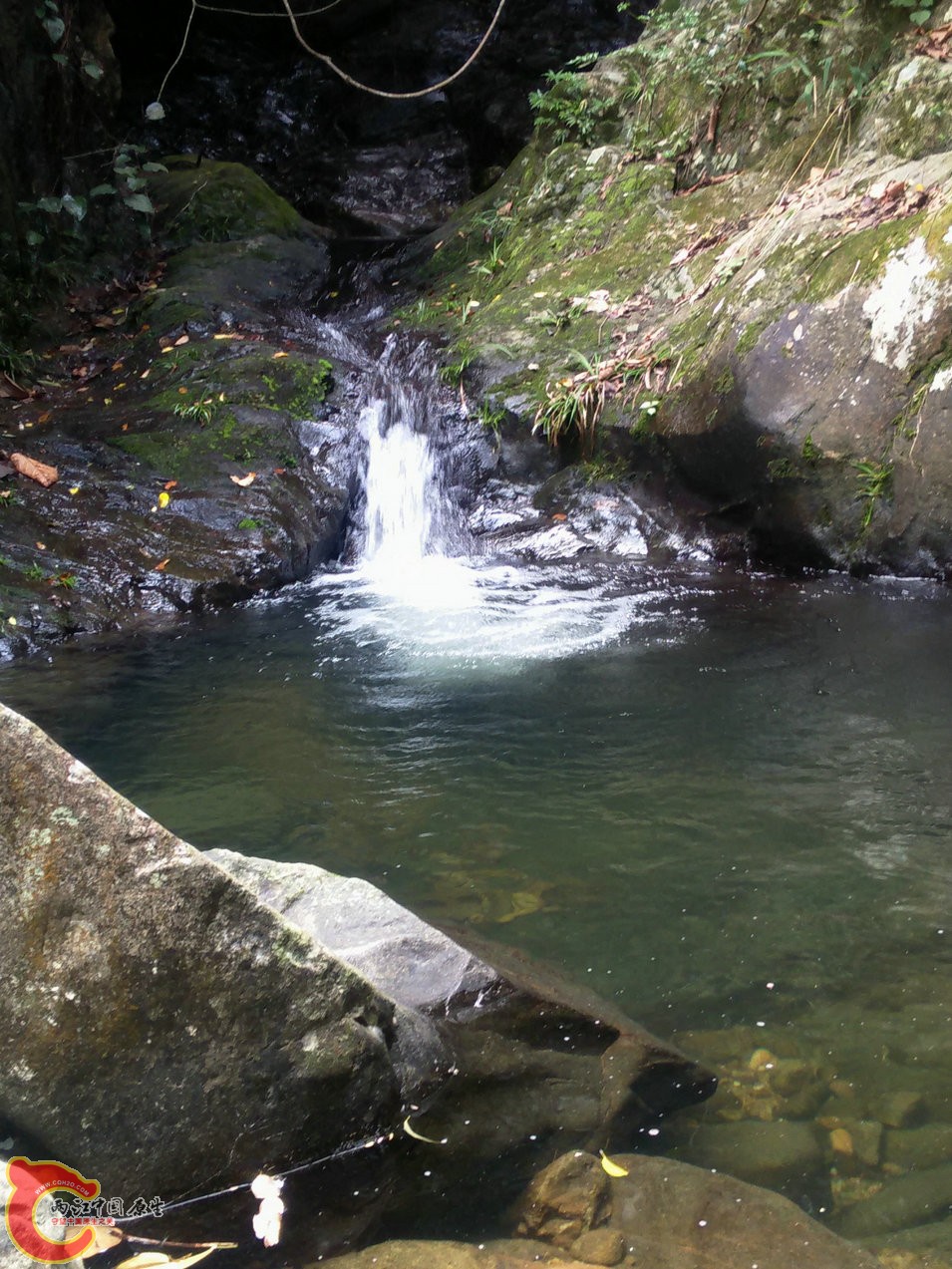IMG20150926100827.jpg
