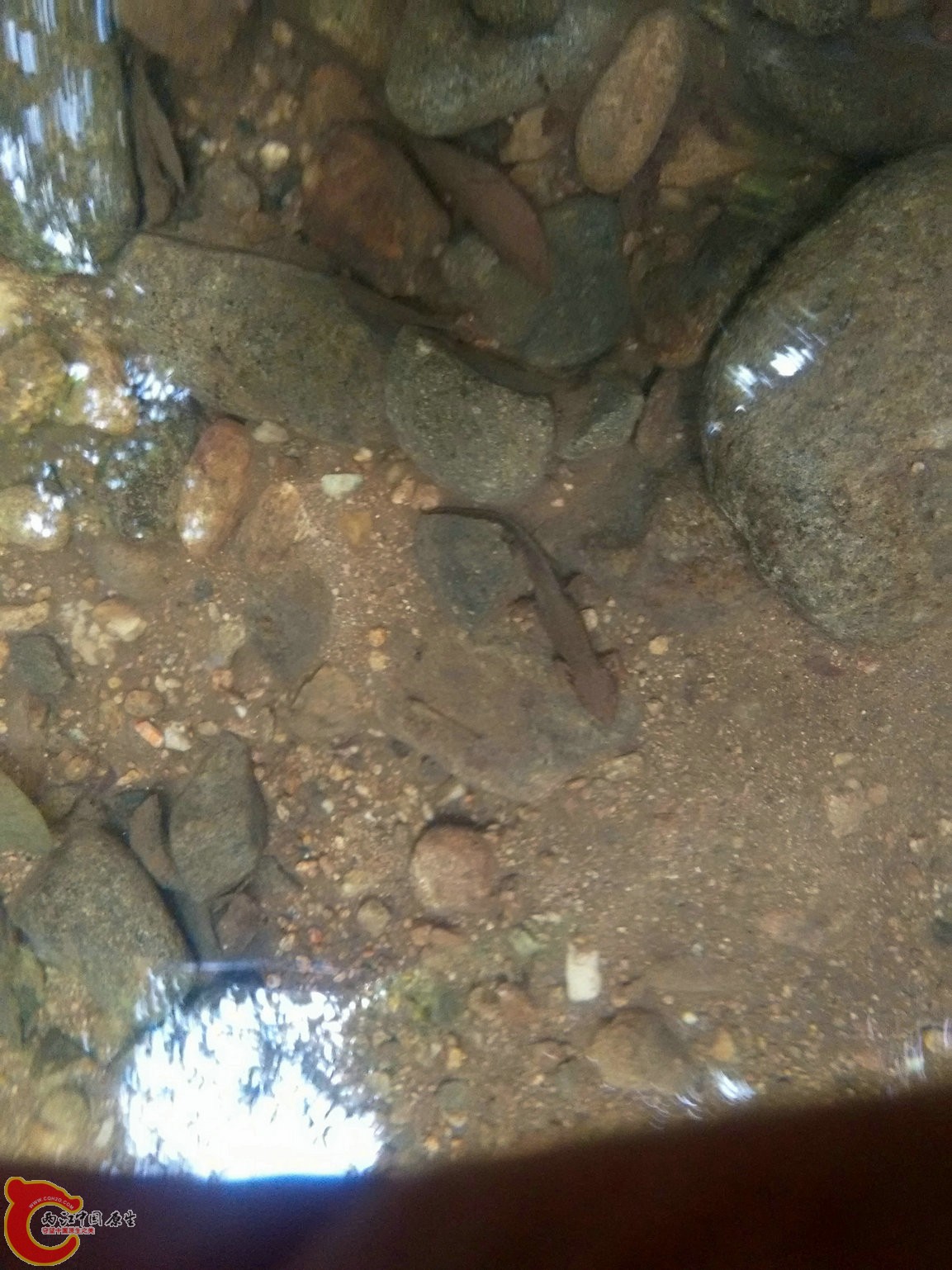 IMG20150926102514.jpg