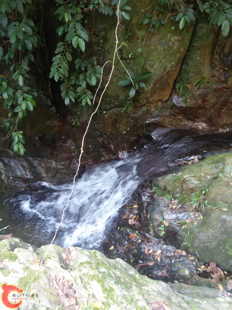 IMG20150926103452.jpg