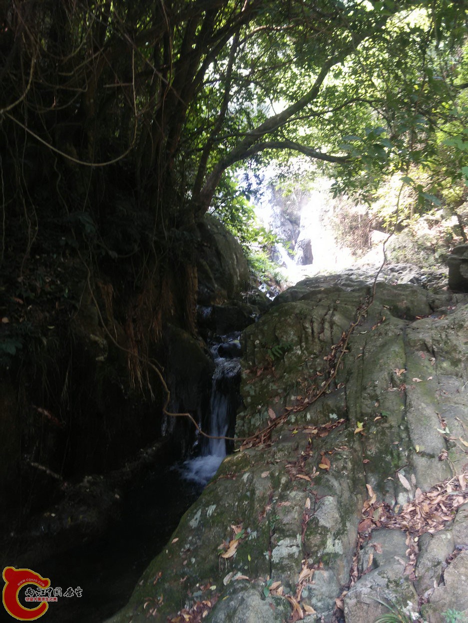 IMG20150926103454.jpg