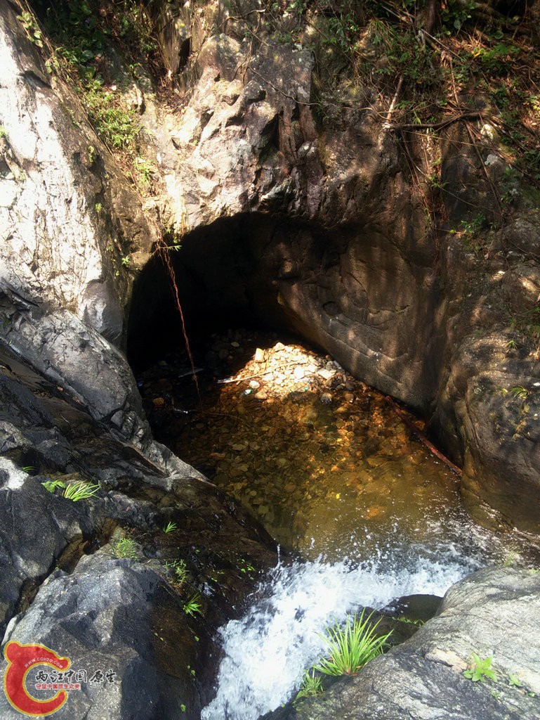 IMG20150926105905.jpg