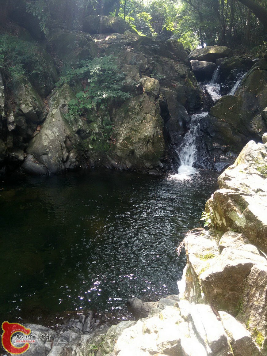 IMG20150926110551.jpg