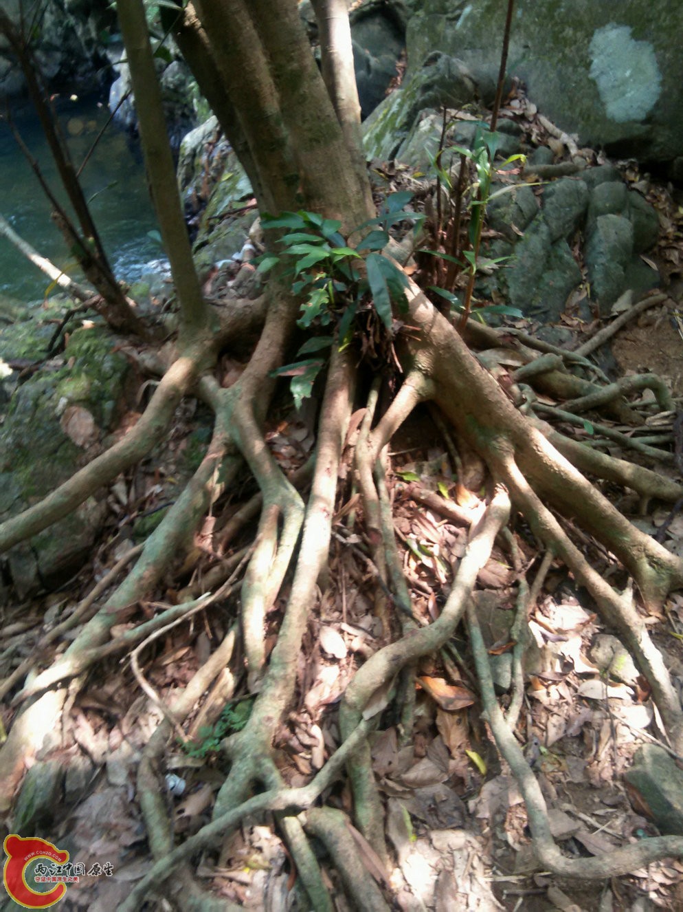 IMG20150926110622.jpg