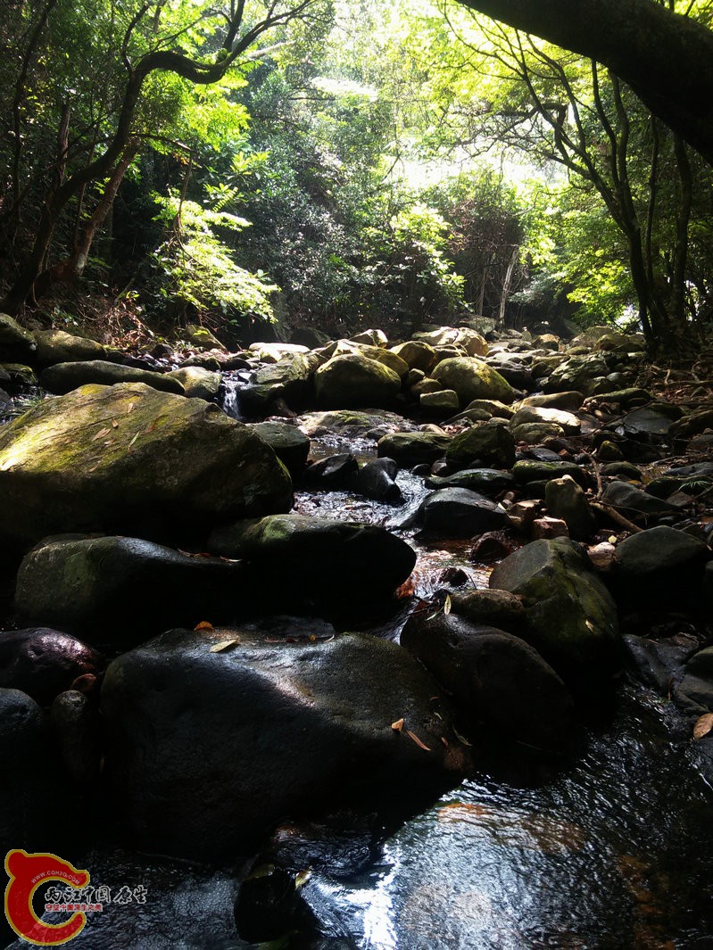 IMG20150926110635.jpg