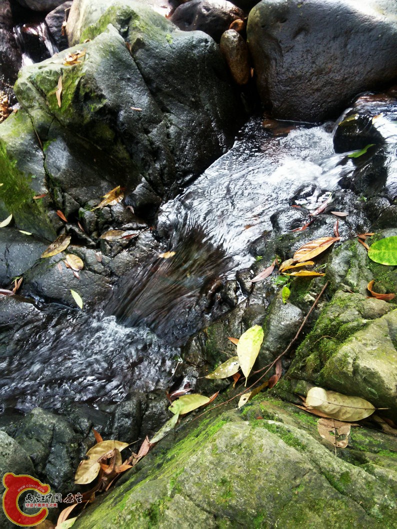 IMG20150926110654.jpg