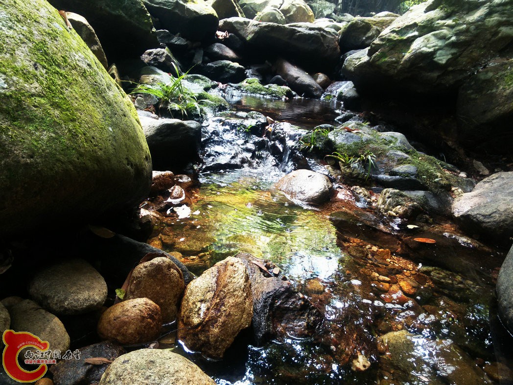 IMG20150926110816.jpg