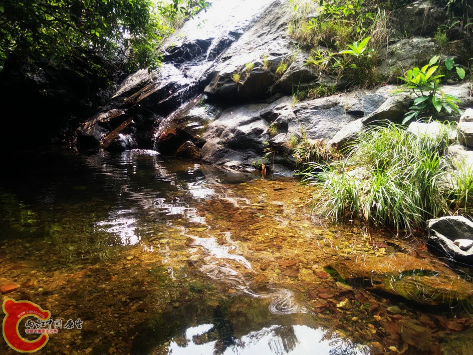 IMG20150926111207.jpg