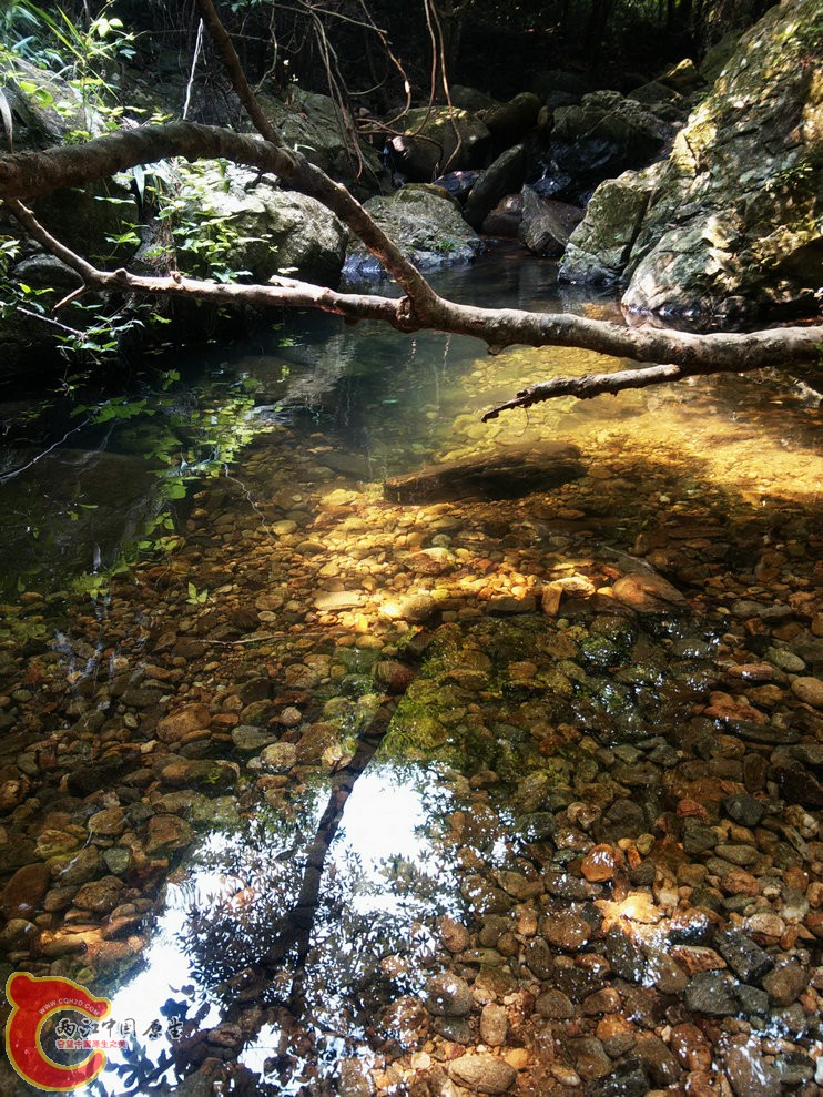 IMG20150926113015.jpg