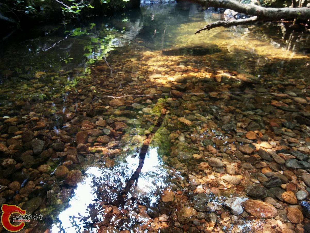 IMG20150926113022.jpg