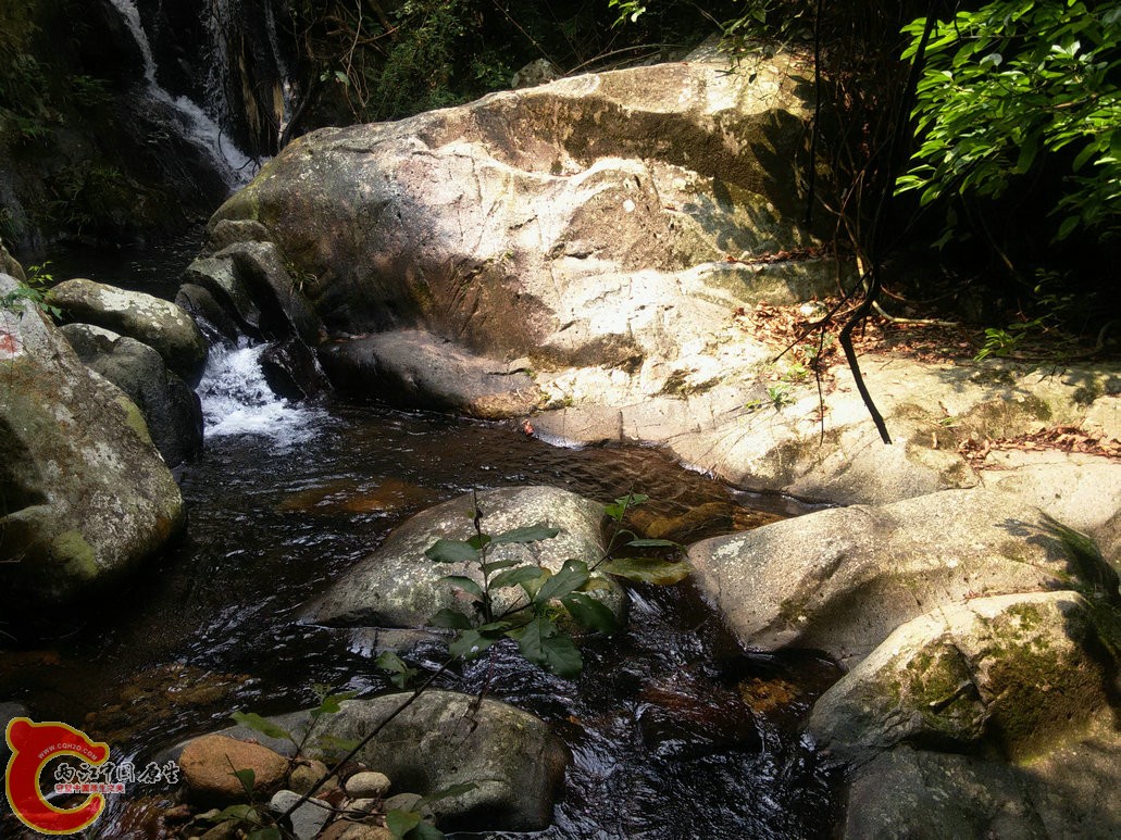 IMG20150926113641.jpg