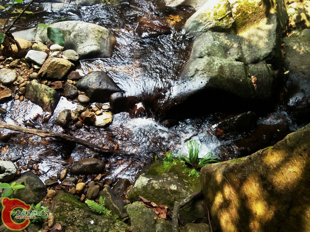 IMG20150926113645.jpg