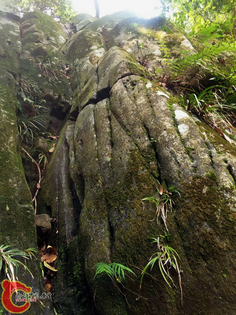 IMG20150926113749.jpg