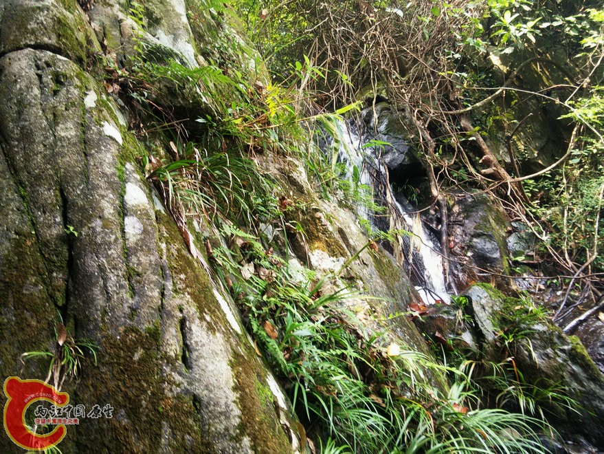 IMG20150926113753.jpg