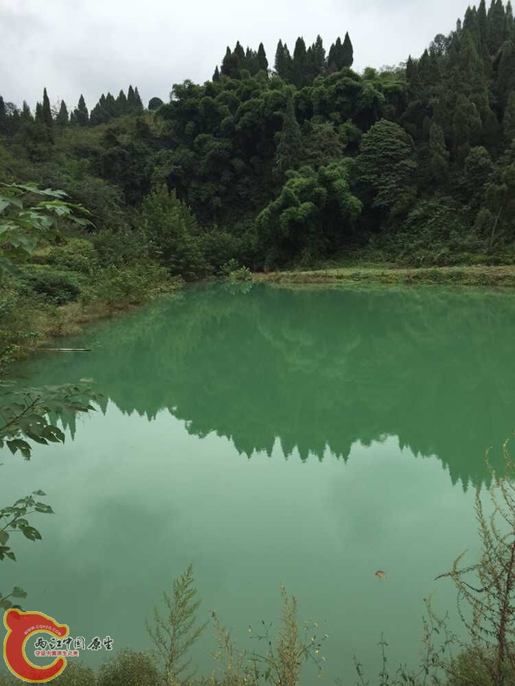 QQ图片20151005173952.jpg