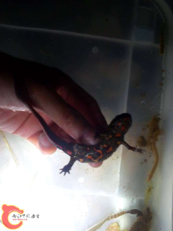 QQ图片20151006171443.jpg