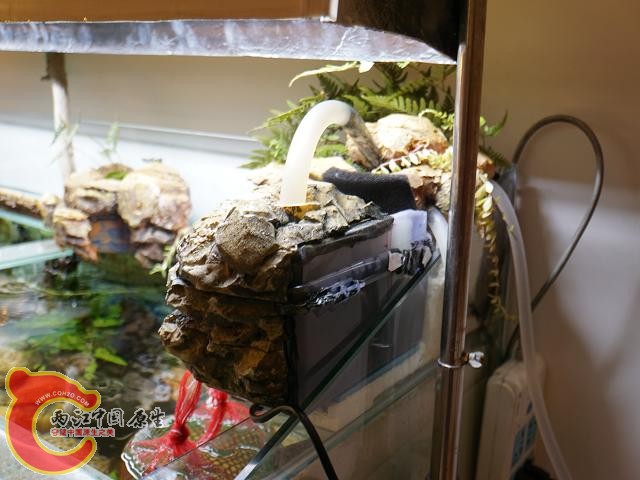 diy的过滤盒