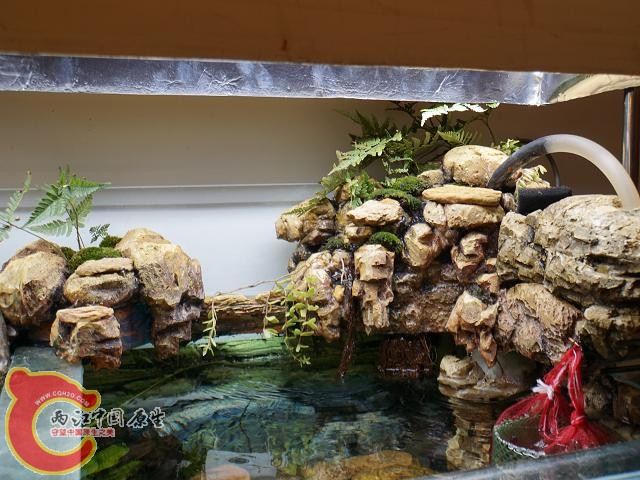 DSC01591调整后DSC01591.JPG