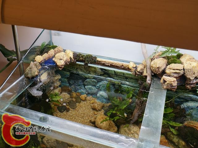 DSC01592调整后DSC01592.JPG