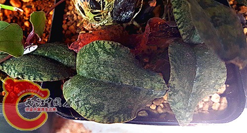 20151013_125451_副本.jpg