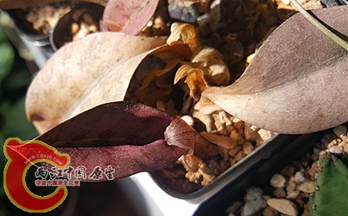 20151013_125500_副本.jpg