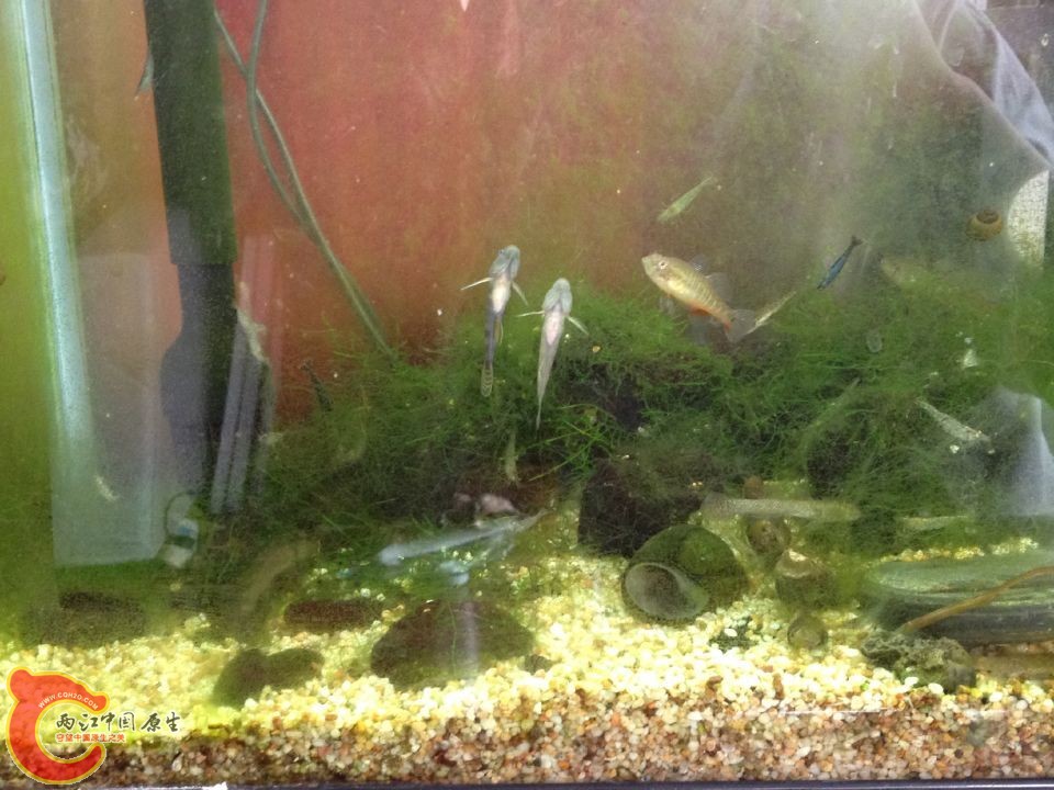 QQ图片20151013114745 - 副本.jpg