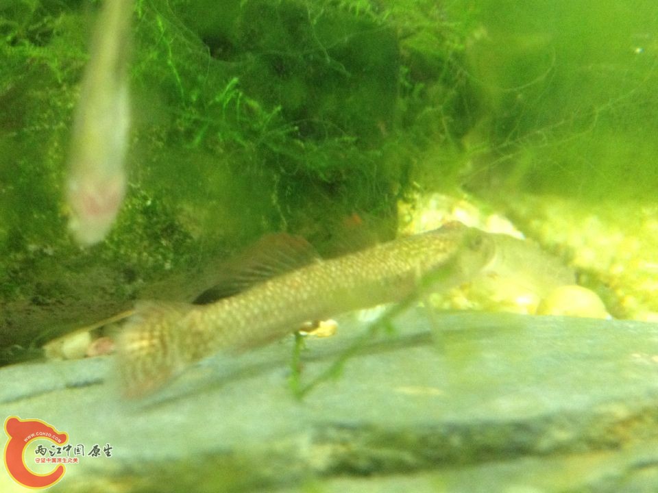 QQ图片20151013114742 - 副本.jpg