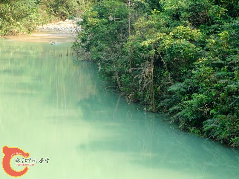 DSC01858.jpg