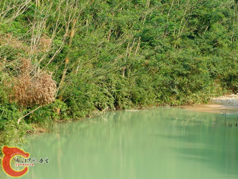 DSC01860.jpg