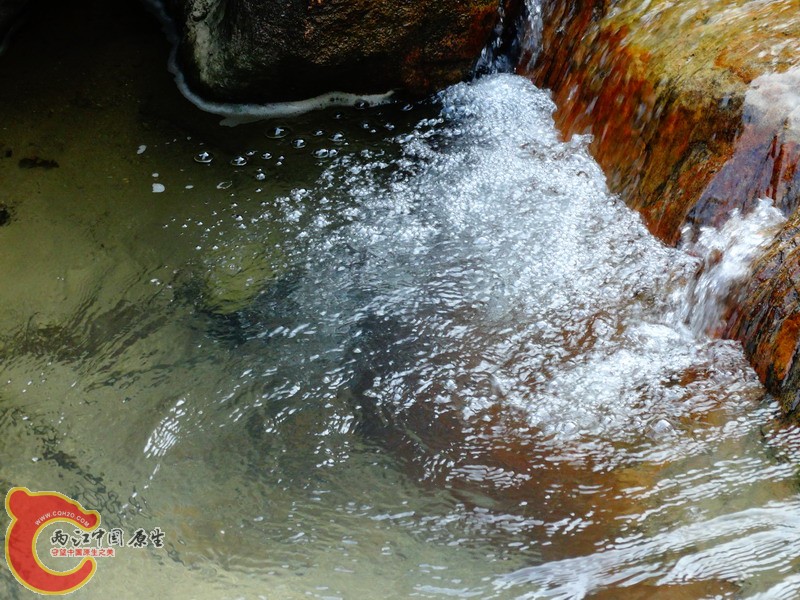 DSC01870.jpg