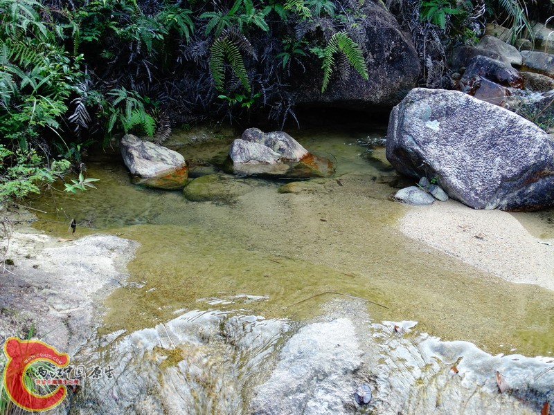 DSC01871.jpg