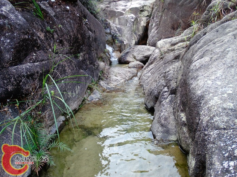 DSC01874.jpg
