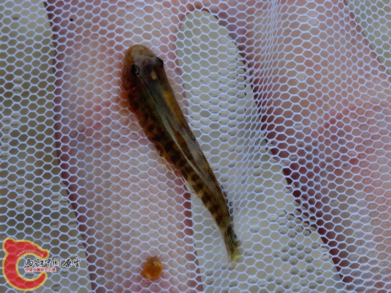 DSC01879.jpg