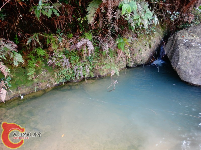 DSC01900.jpg
