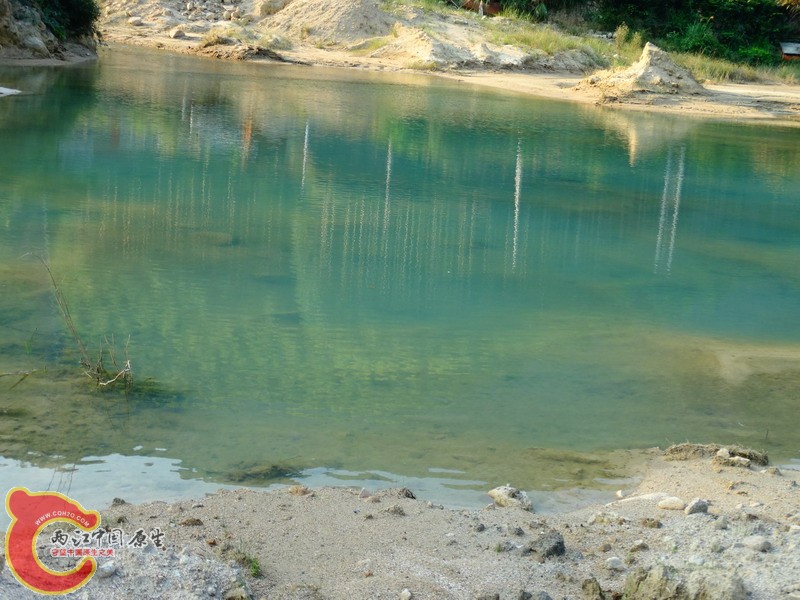 DSC01907.jpg