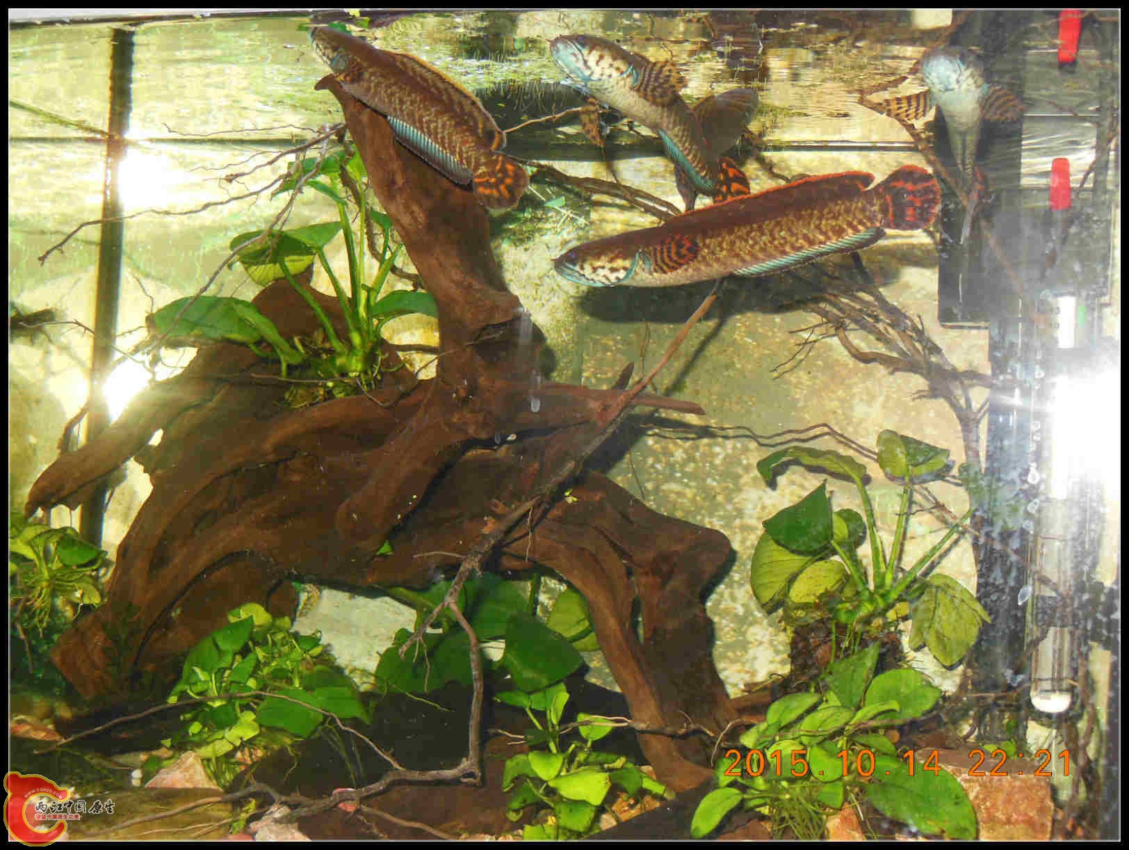 DSCN7577_meitu_2.jpg