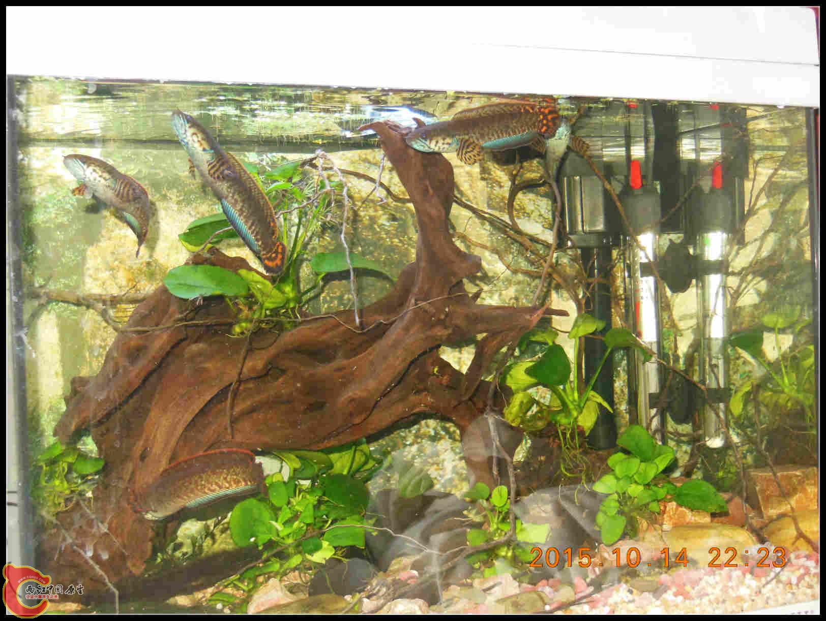 DSCN7585_meitu_6.jpg