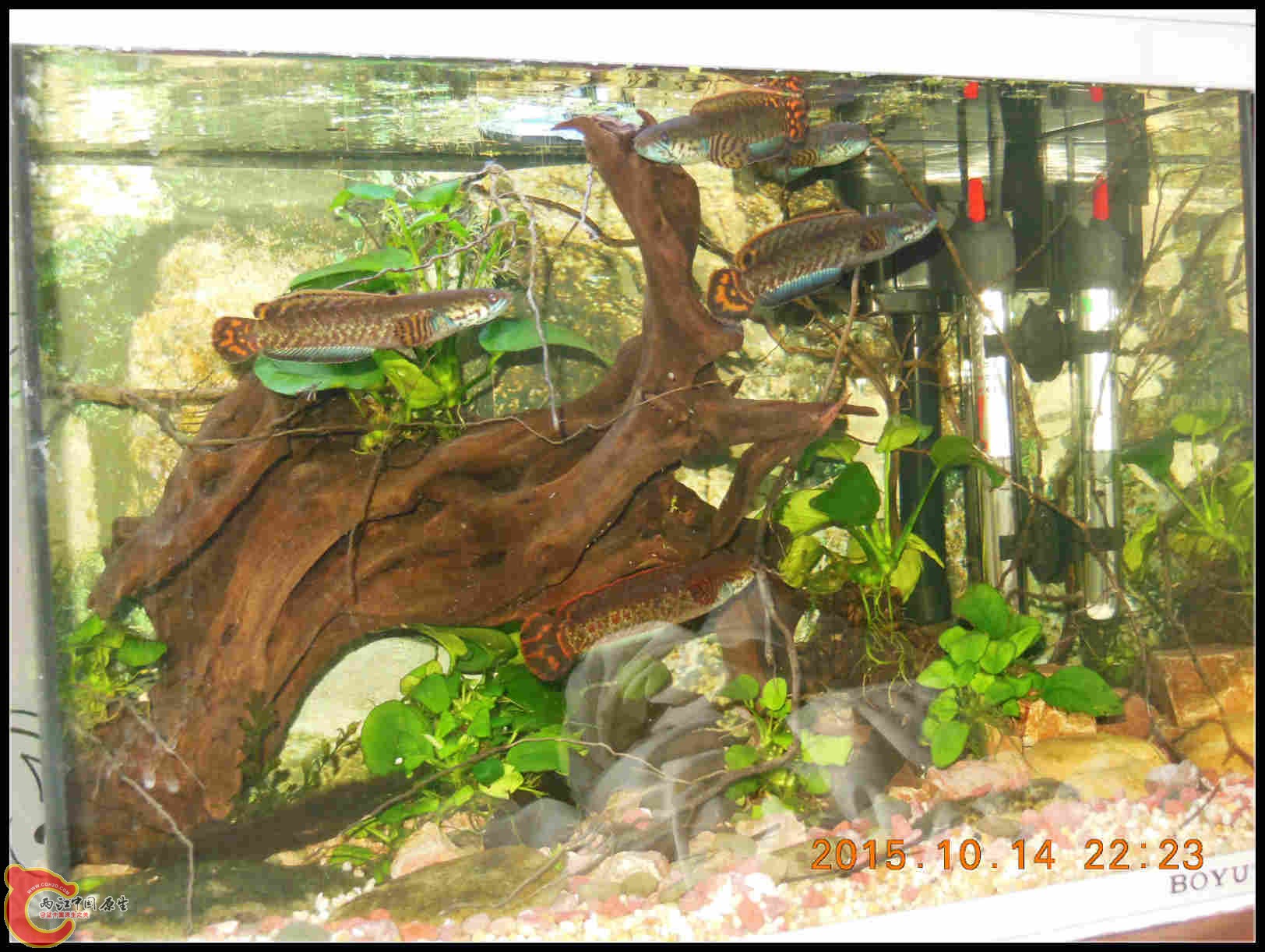 DSCN7586_meitu_7.jpg