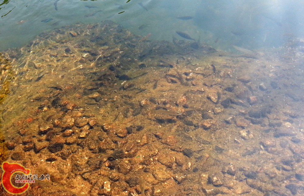 20151002_141451.jpg