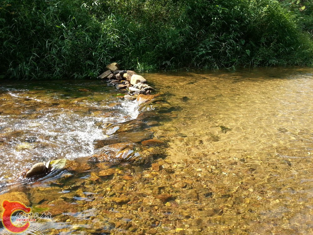 20151002_141617.jpg