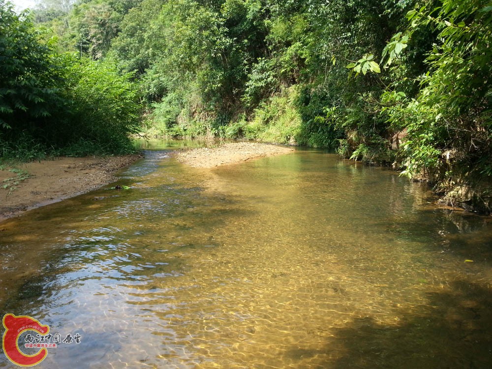 20151002_141900.jpg
