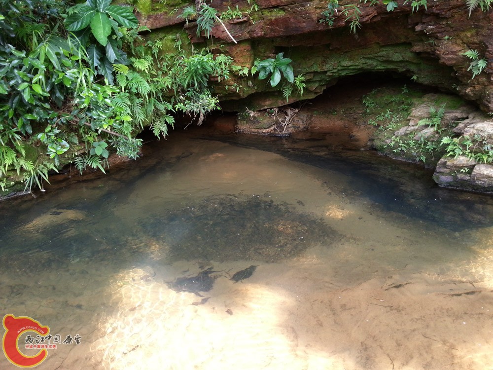 20151002_142035.jpg