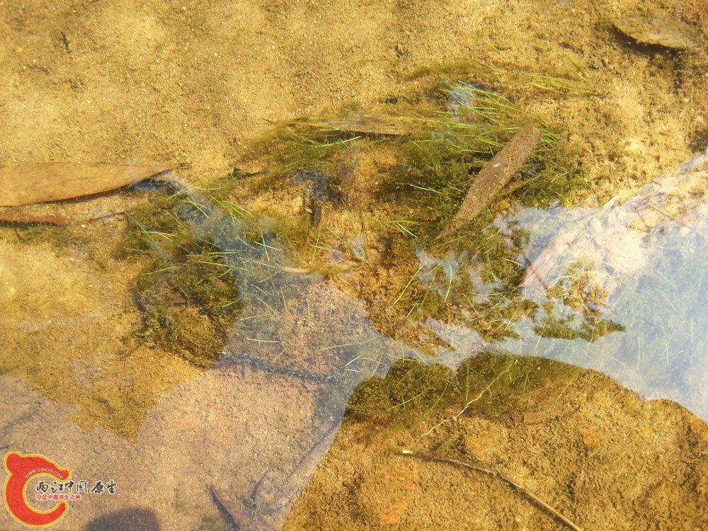 20151002_144544.jpg