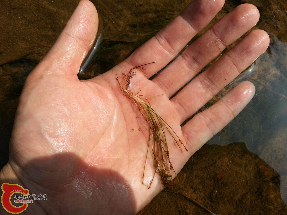 20151002_144608.jpg