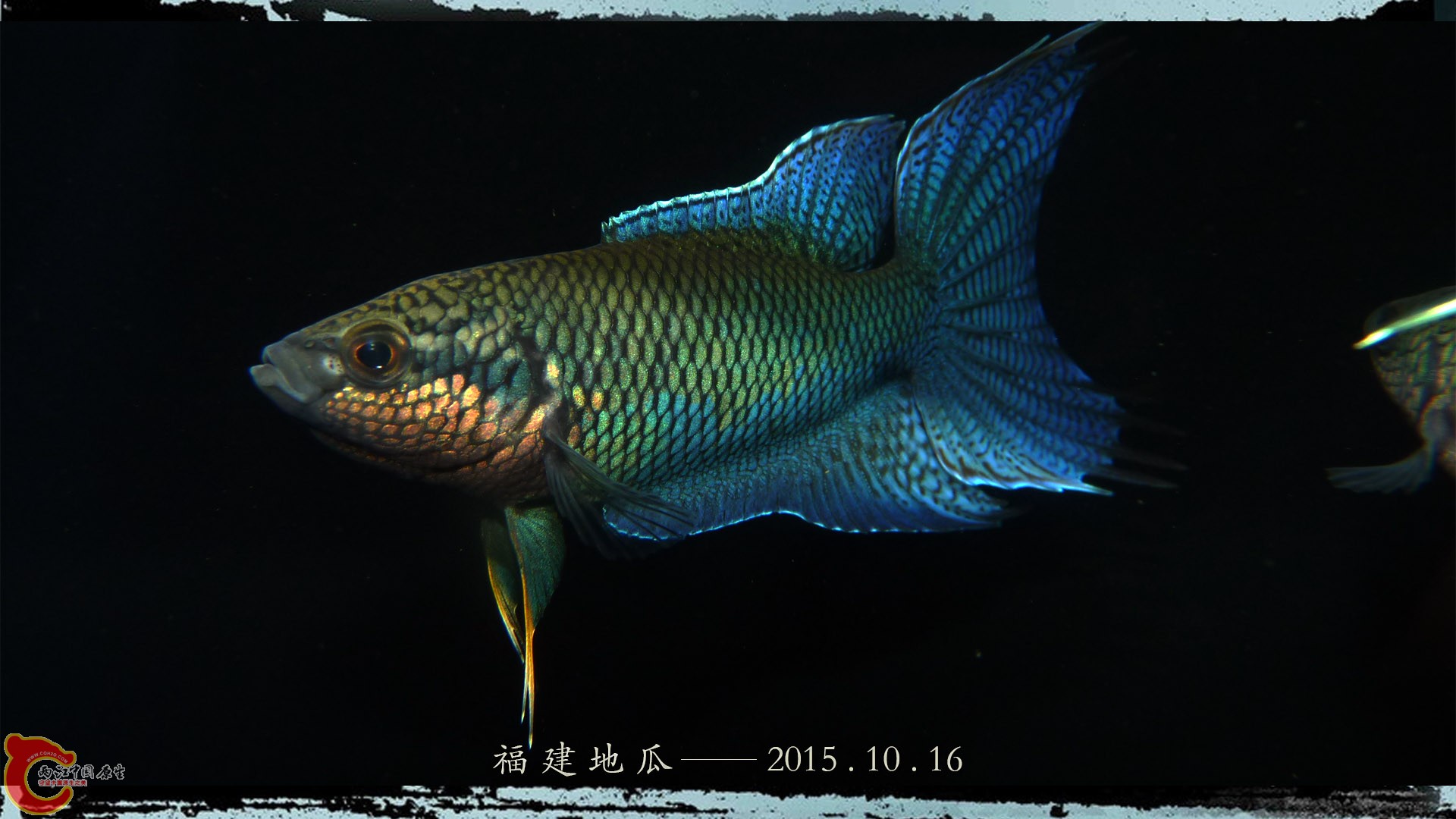 03.jpg