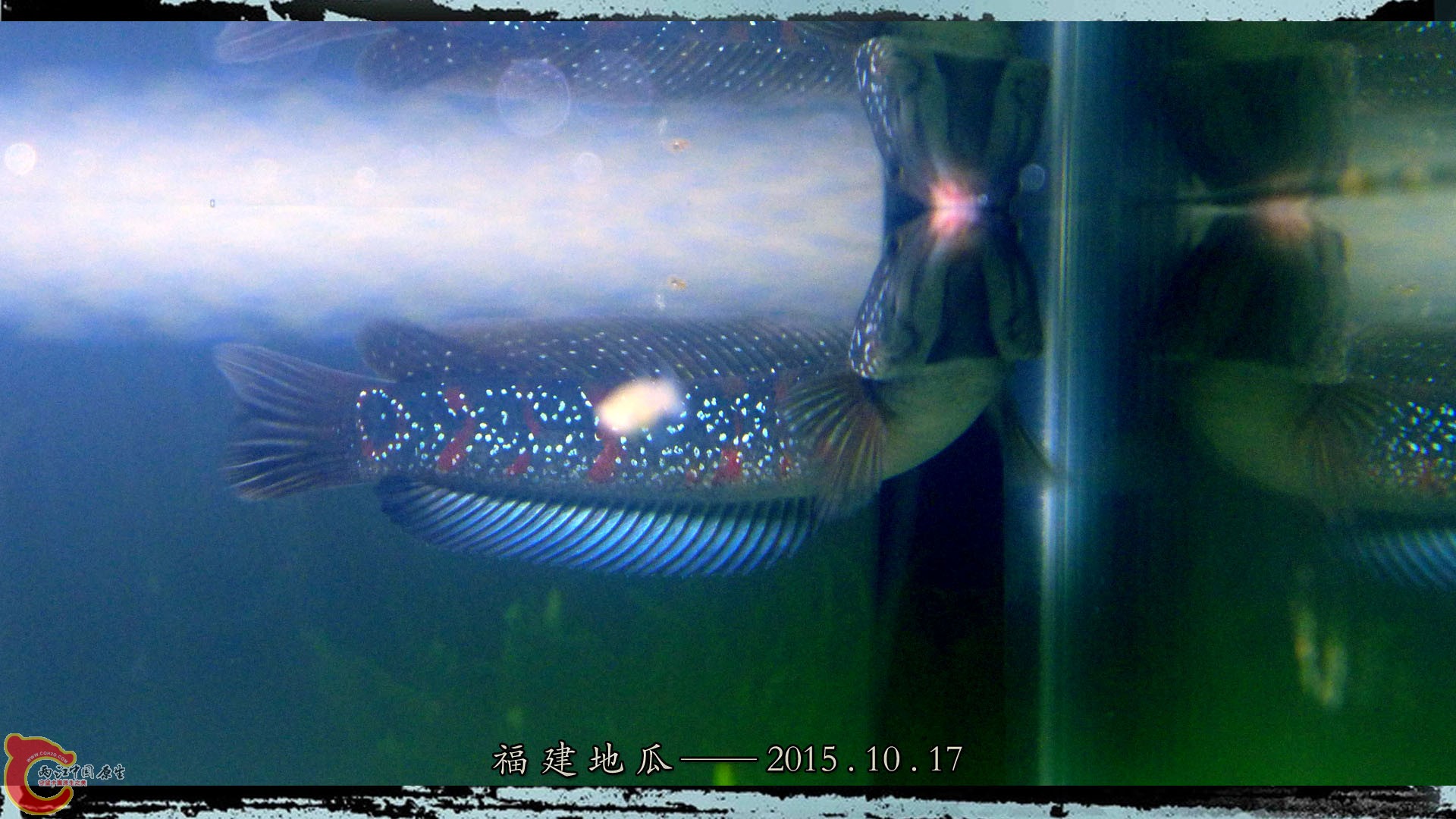 06.jpg