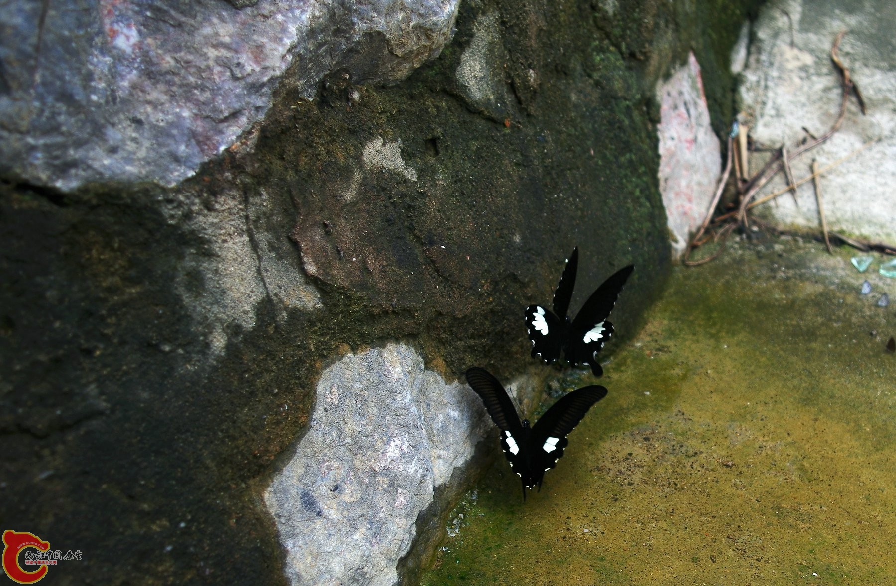 IMGP3840.JPG